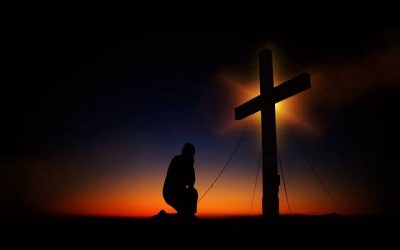 Reflections for the week of August 12, 2019